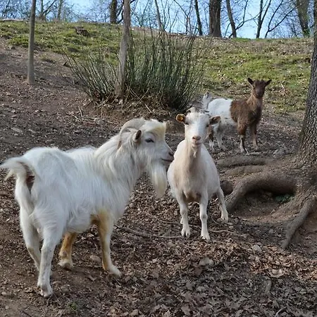 Feriegård Dondino Cavriana